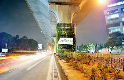 Now, a vertical garden is growing on Hosur Road too