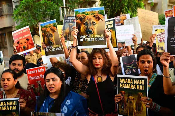Protest in Mumbai against Supreme Court order: Mahatma Gandhi’s great-grandson Tushar and actress Zeenat Aman support stray dogs’ freedom to coexist