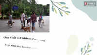 Bengaluru folk return to Cubbon Park but with precautions 