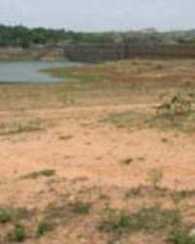 Quarry threat to TG Halli reservoir