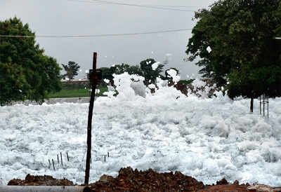 Bellandur Lake could soon regain lost glory