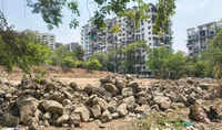 Miyawaki forest planned in NIBM Road area to boost urban biodiversity