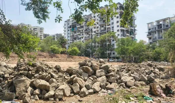 Miyawaki forest planned in NIBM Road area to boost urban biodiversity
