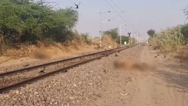 3 Camels killed after hit by passenger train near Jaisalmer