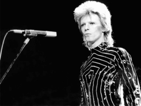 A bit of Bowie in every design