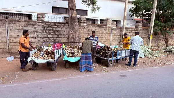 Harsh summer drives ice apple demand as TN traders thrive in Karnataka