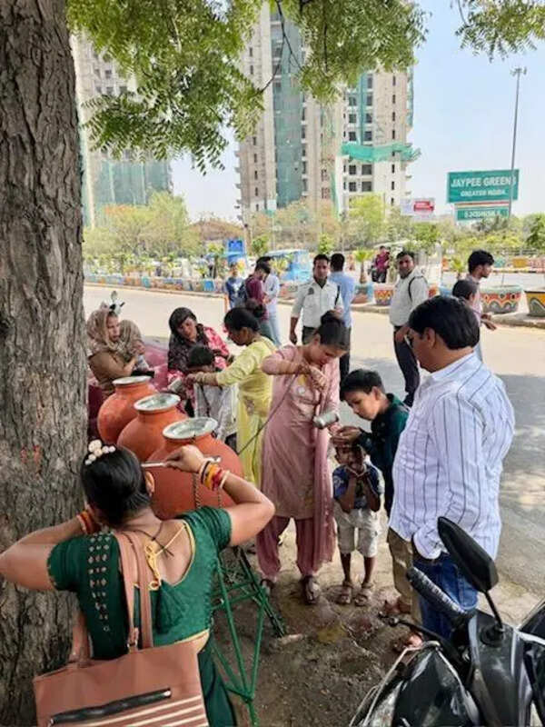 Residents step up with water stations, sparrow nests amid soaring heat