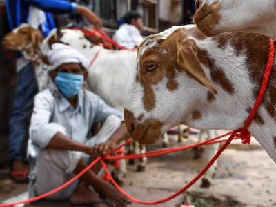 ‘Goats aren’t gadgets that can be ordered online’