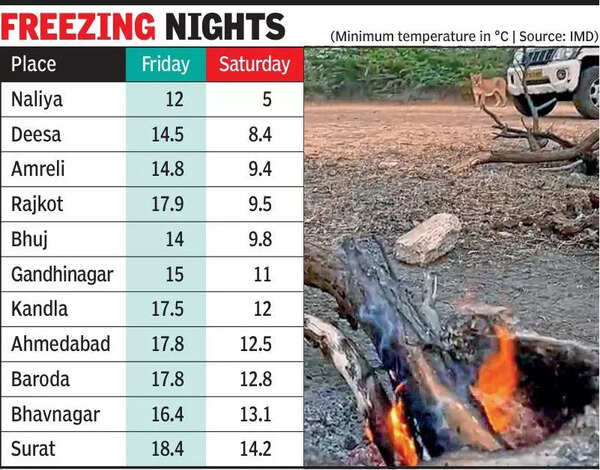 After warm nights, sudden chill grips Gujarat