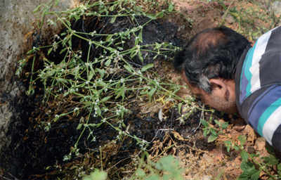 ‘Chemical locha’ in lake: Visvesvaraya Layout residents turn CID agents