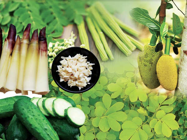Nutritious local produce on the Goan monsoon platter