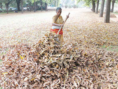 BBMP to get power from dry leaves