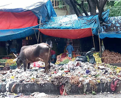 BBMP needs to clean up its act in Madiwala