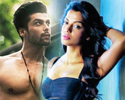 From Bigg Boss house to Bollywood erotica