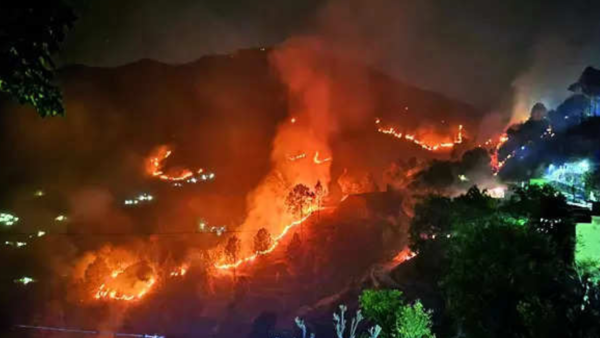 54 wildfires in 1 day, 75ha forest land up in flames