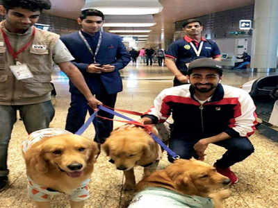 Ruff time: Mumbai airport’s 3 therapy dogs ‘abducted’