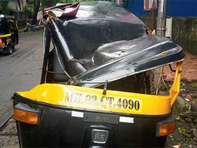 Auto driver crushed to death after tree falls on his vehicle