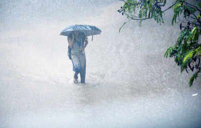 Rain fury leaves Chennai marooned