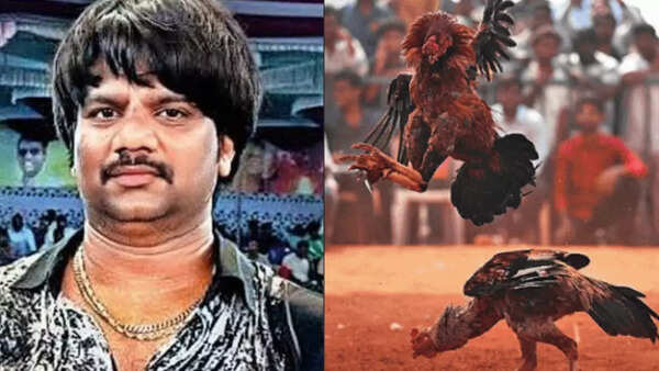 Costliest cockfight: Andhra Pradesh man wins Rs 1.53 crore in Tadepalligudem; highest-ever betting on Sankranti