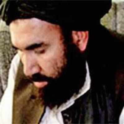 Trusted ally '˜blew' bin Laden's cover