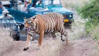 HC directs govt to furnish report of PTR conservation