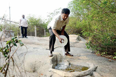 On IISc campus, birds love these two men