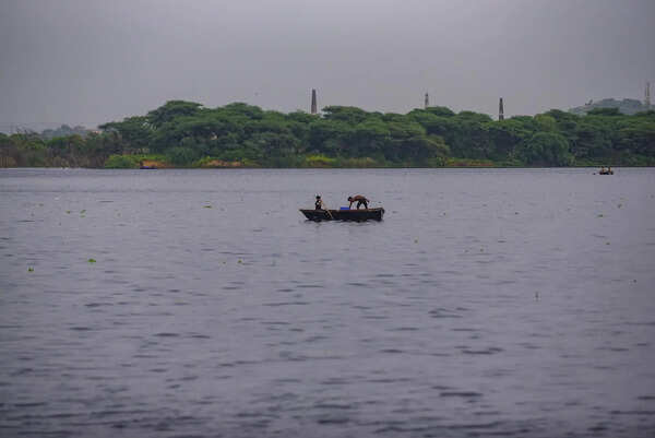 Storage in Raj reservoirs drops sharply to 52% capacity, raising summer water concerns