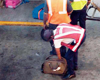 Handler was only securing the bag: airline