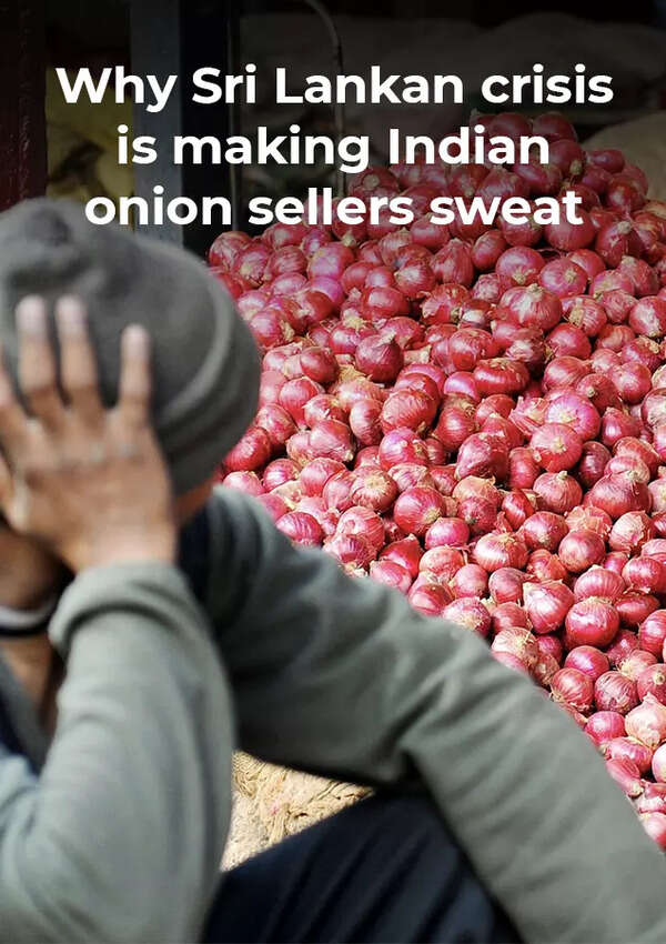 Why Sri Lankan crisis is making Indian onion sellers sweat