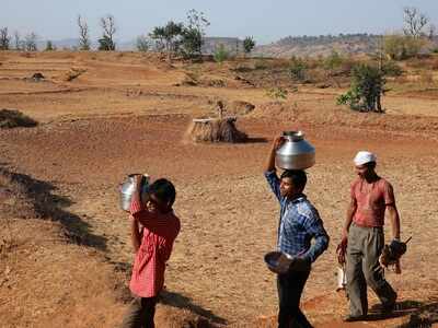 Nashik, parts of Maharashtra stare at water scarcity, drought