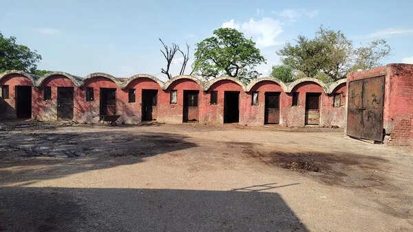 After years of delay, MC approves new abattoir project