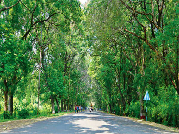 Aurangabad's jogging destinations