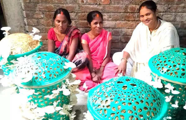 From agri waste to mushroom industry