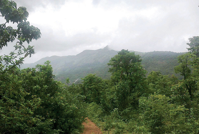 ‘Government is short-sighted; Western Ghats stressed’