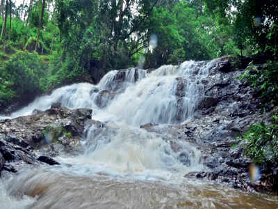 Don’t go chasing waterfalls