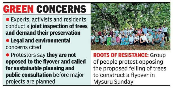 Protest over felling of 350 trees for flyover work in Mysuru intensifies