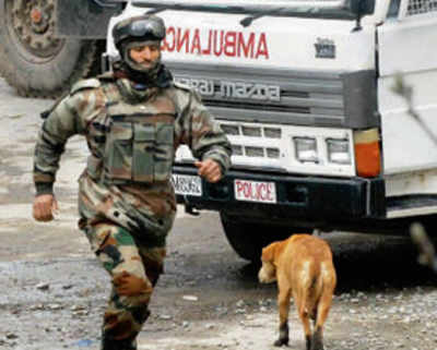 Kashmir: Militants kill two security personnel, escape