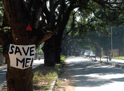 Bengaluru to get its first tree avenue footpath