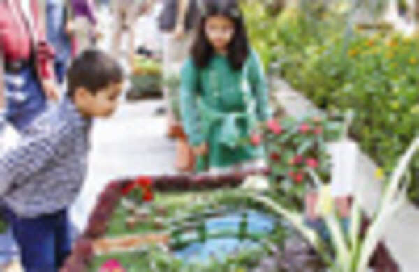 The 24th Garden Tourism Festival in Delhi