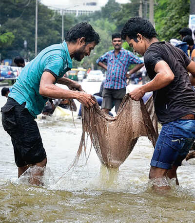 Study finds 91% of Bengaluru is at the mercy of climate change