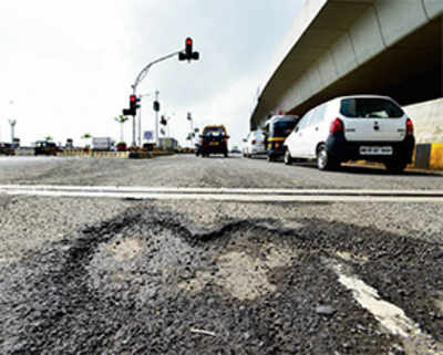 2-yr-old SCLR falls prey to potholes