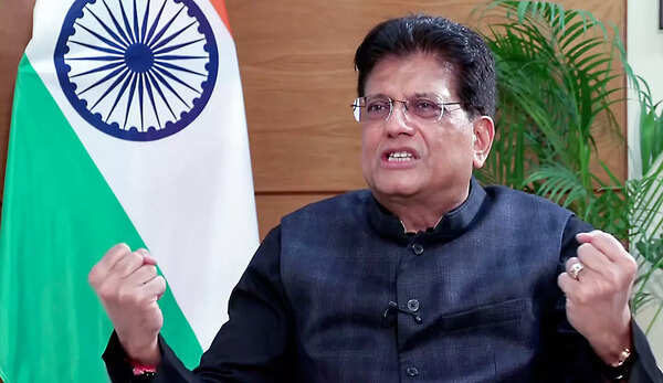 'We will negotiate, finalise FTAs based on what is good for India'
