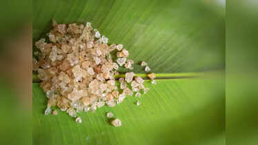 Benefits of wonder herb Gond Katira and how to have it (recipes ...
