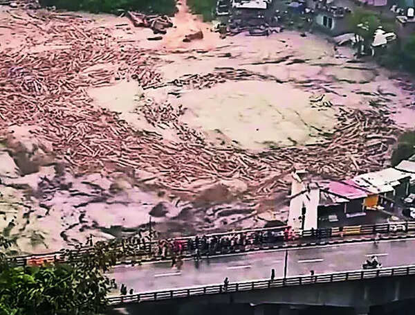 Floating logs in Ravi stir buzz, officials say it's just driftwood, uprooted trees