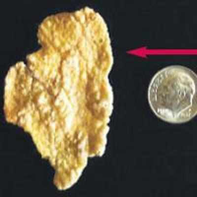 Someone paid Rs 2,000 for this cornflake!