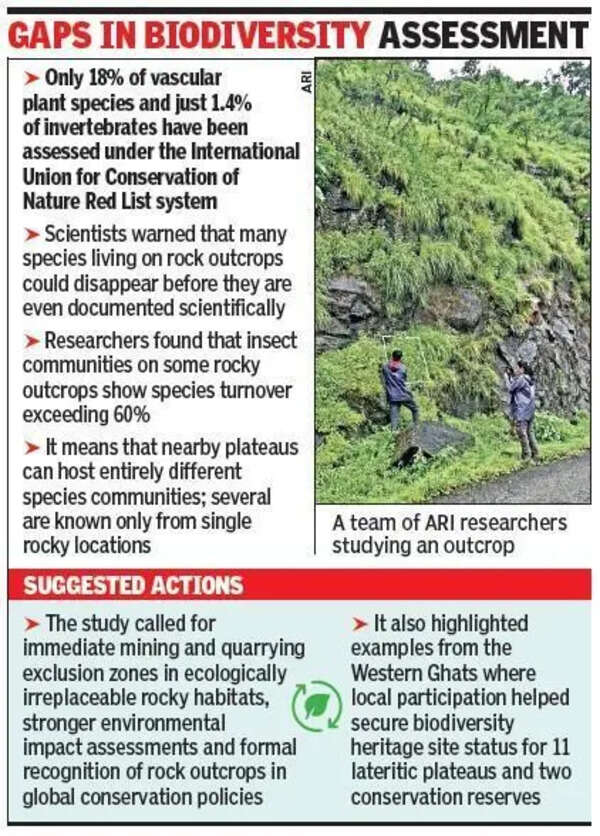 Study warns of mining threat to rocky plateaus of W Ghats