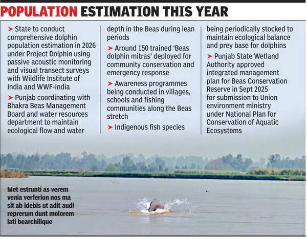 Notified 185km reserve, established wetlands authority: Punjab explains how it’s protecting Indus river dolphin