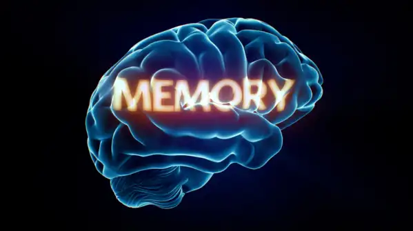 It safeguards memory networks, even before decline begins