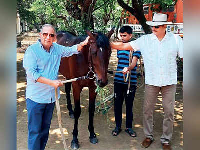 Ravi Shastri to become a race-horse owner