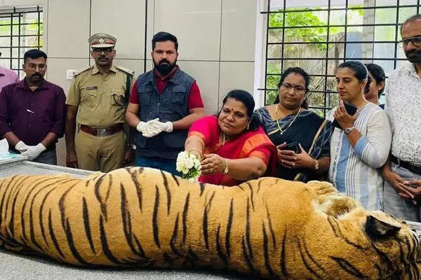 11-year-old tiger dies at Thiruvananthapuram Zoo after pneumonia